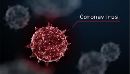 Bisherige Updates zum Corona Virus