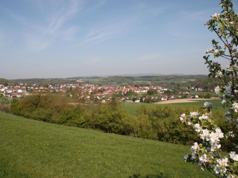 Blick vom Galgenberg auf Eschelbronn